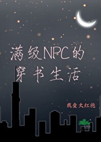 满级NPC的穿书生活